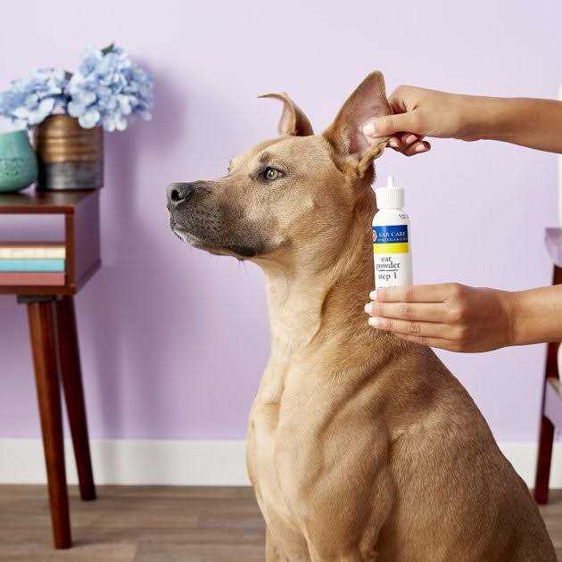 Ear Powder P312853