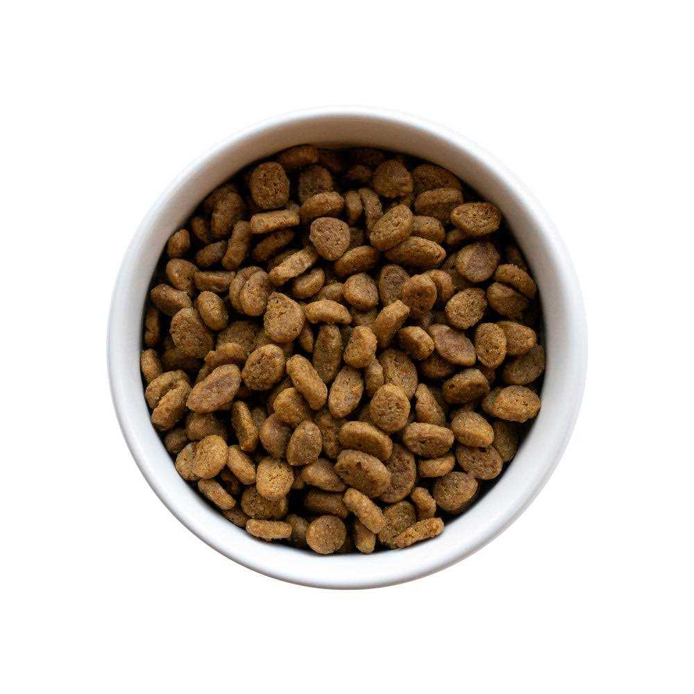 Senior Cat Food H68669