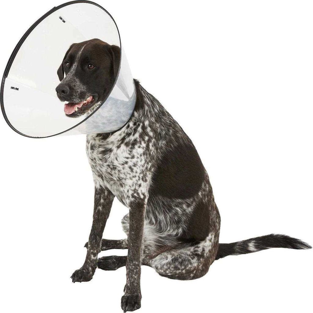 E-Collar XL N35634