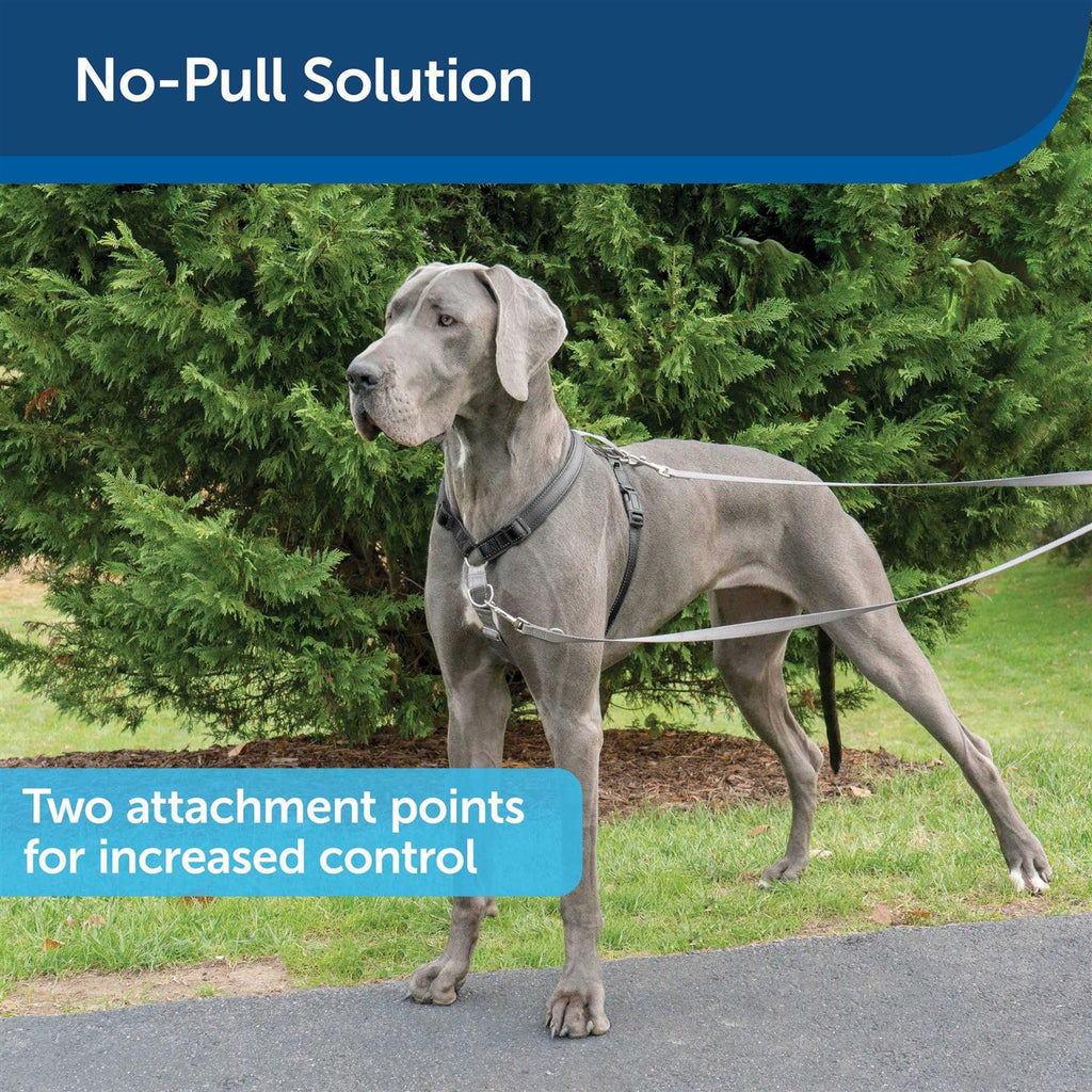 3 in 1 Harness with Two Point Control Leash D704