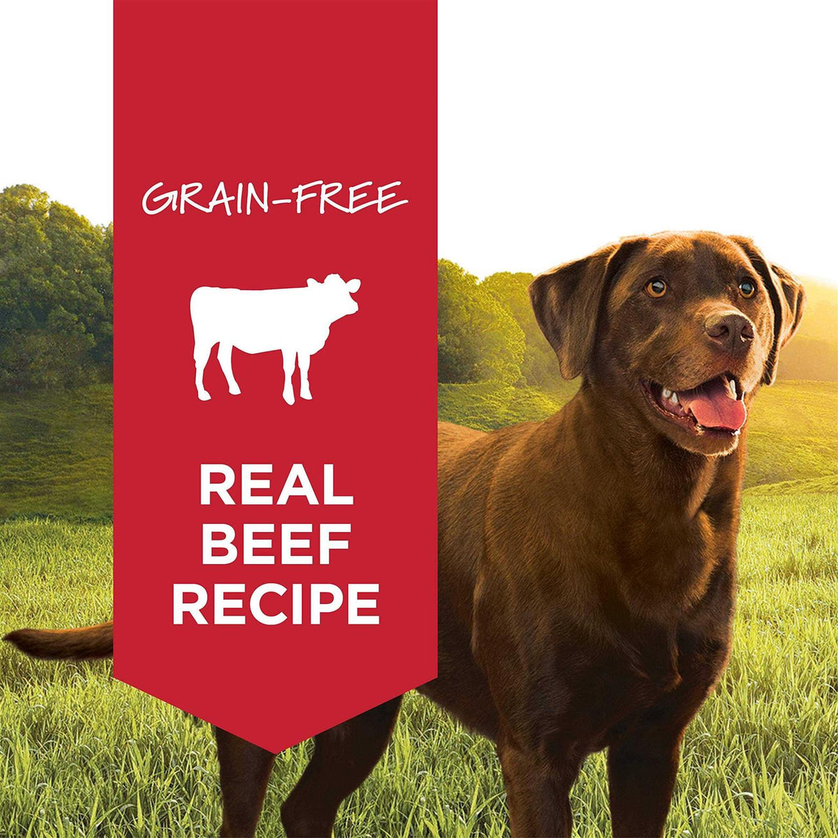 Grain-Free Beef Canned Dog Food N9148
