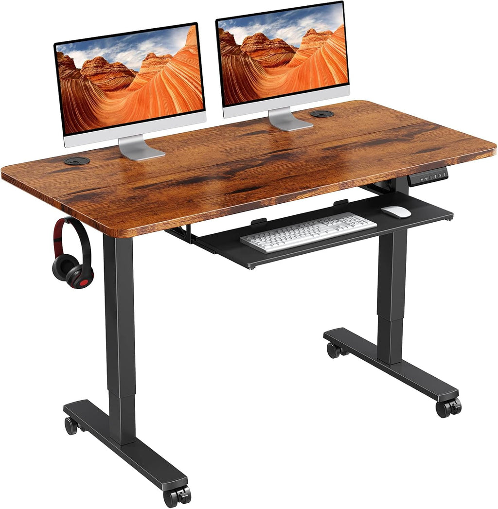 Electric Standing Desk Adjustable Height 48x24 in with Memory Controller N12115