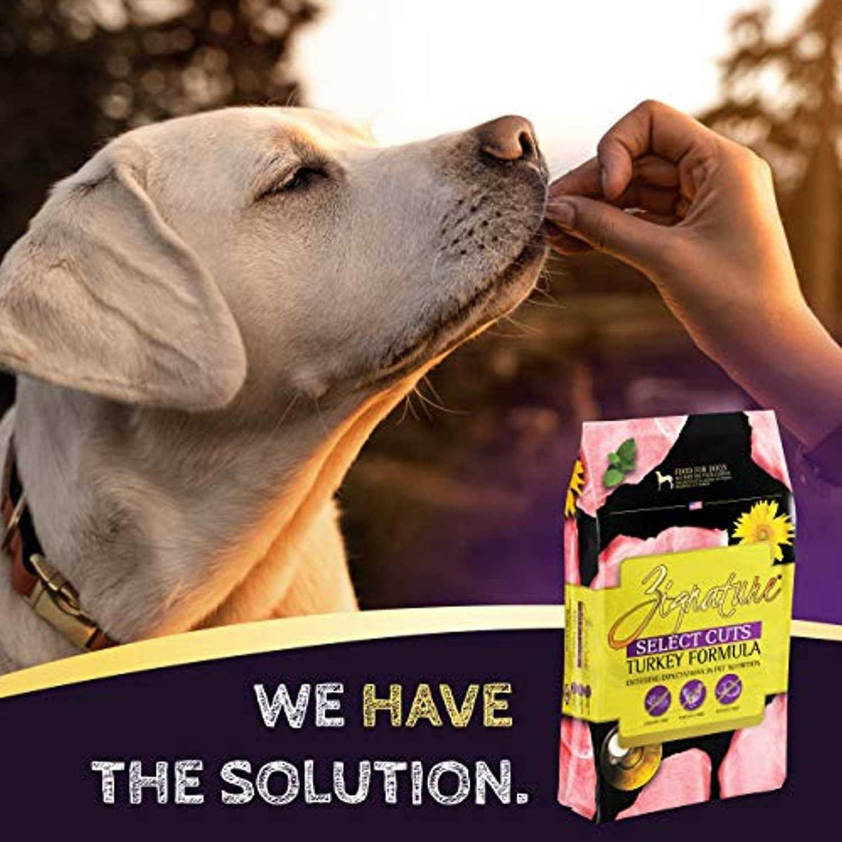 Turkey Formula Dry Dog Food D709410