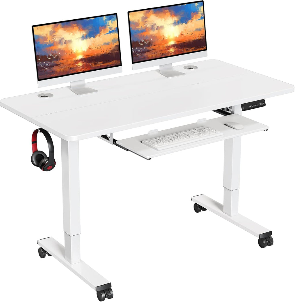 Electric Standing Desk Adjustable Height 48x24 in with Memory Controller N12115