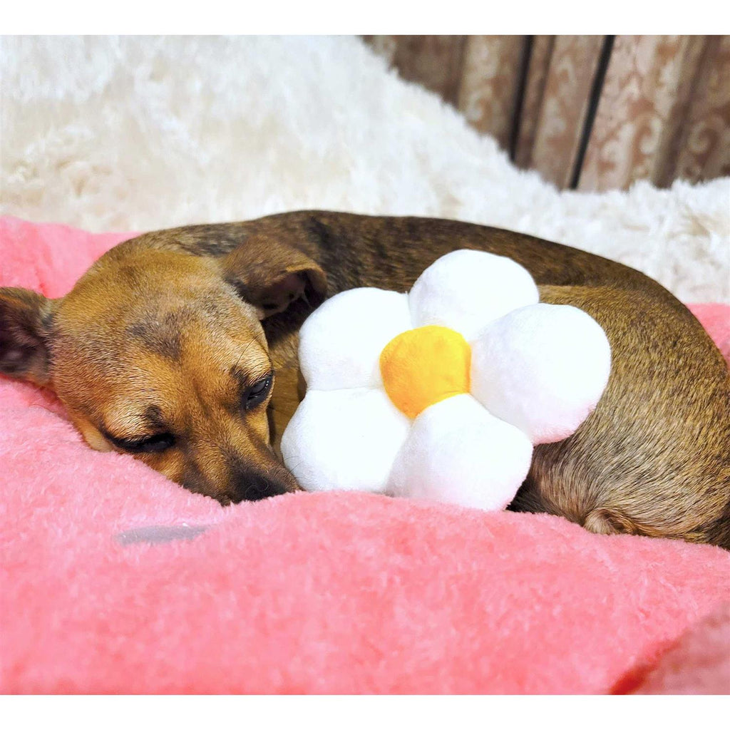 Soft Plush Small Dog Cat Bed O981