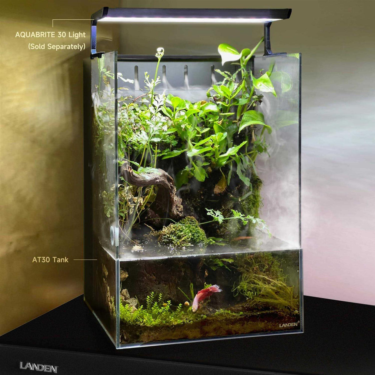 Aqua Terra Tanks Terrarium All in One, Integrated Paludarium, Light, Water Pump, Mist-Flower and Mat Included, Waterfall and Rain Forest Z881