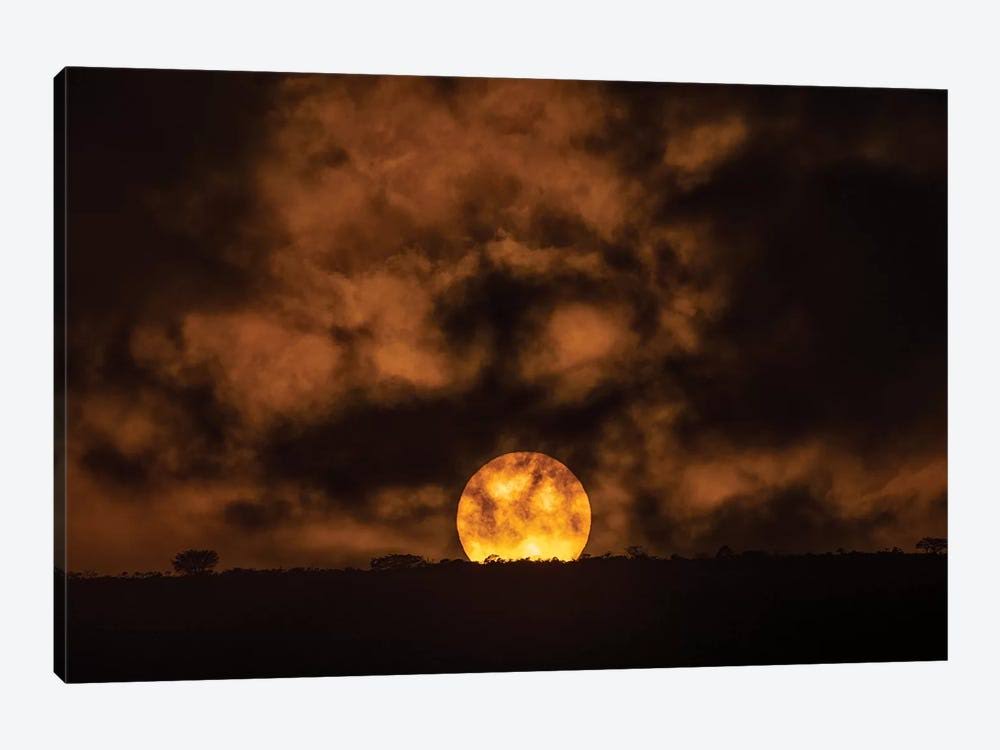 Canvas Art African Sunset Print Q293050