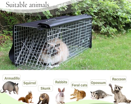 32 Inch Heavy Duty Folding Animal Trap Cage with Cover 2 Packs O372