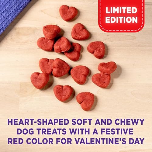 18 Ounce Soft & Chewy Dog Treats L47308