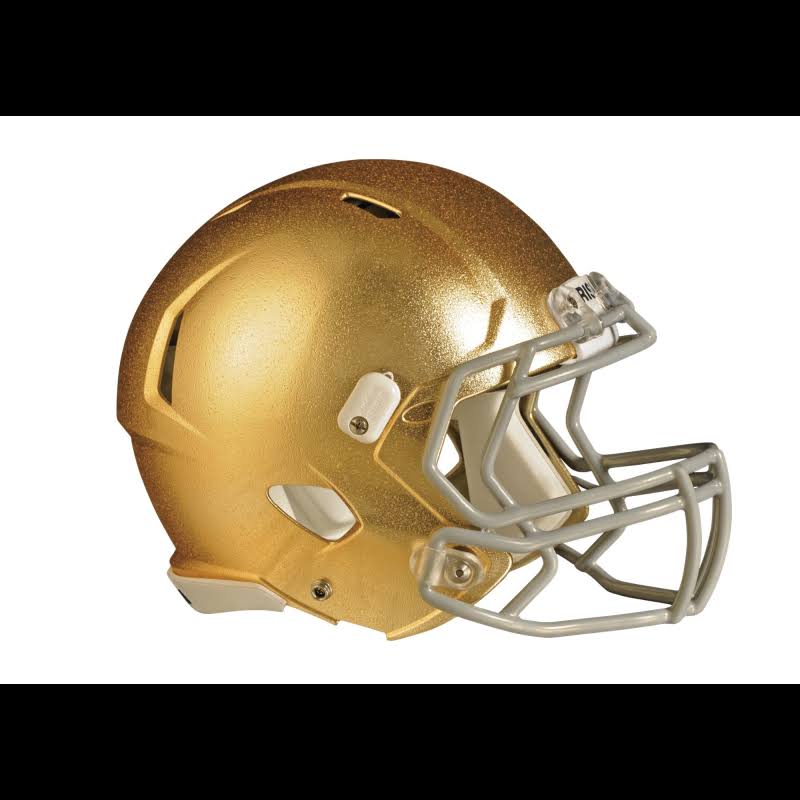 Notre Dame Fighting Irish Giant Removable Helmet Wall Decal J872625