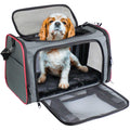 Soft-Sided Pet Carrier L1055