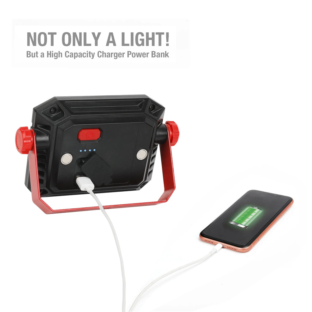 10W LED 1000 Lumen Rechargeable Handheld Portable Work Light E10599
