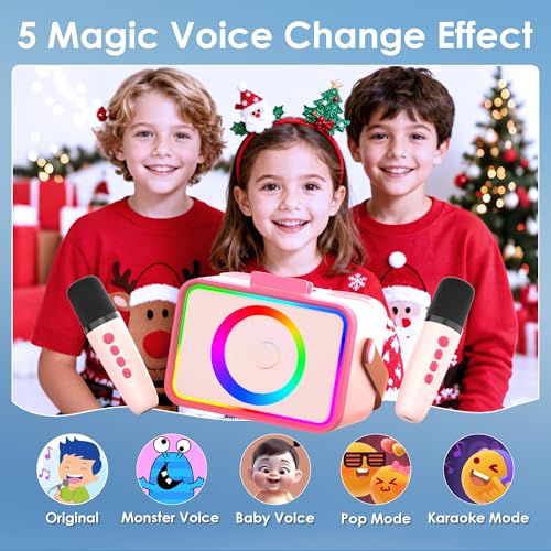 Portable Bluetooth Karaoke Machine with 2 Wireless Microphone and LED Lights W8549