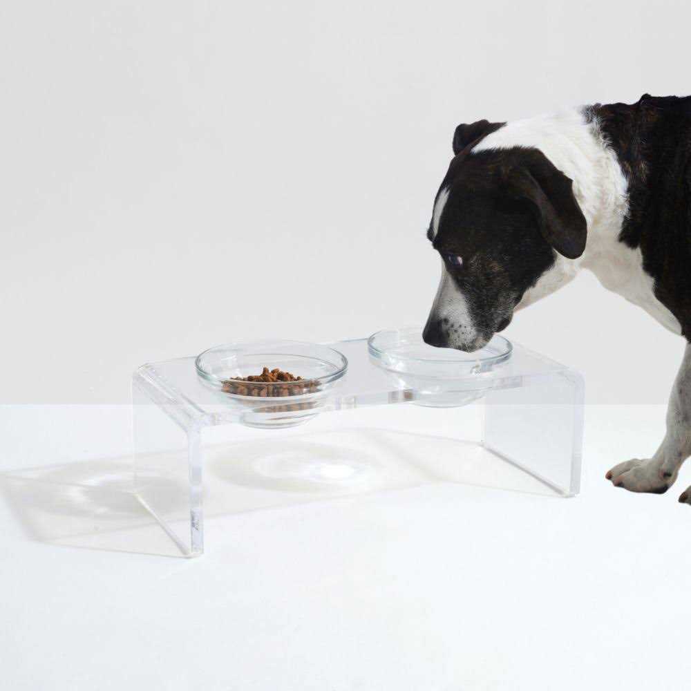 Clear Elevated Glass Bowl Feeder T329804