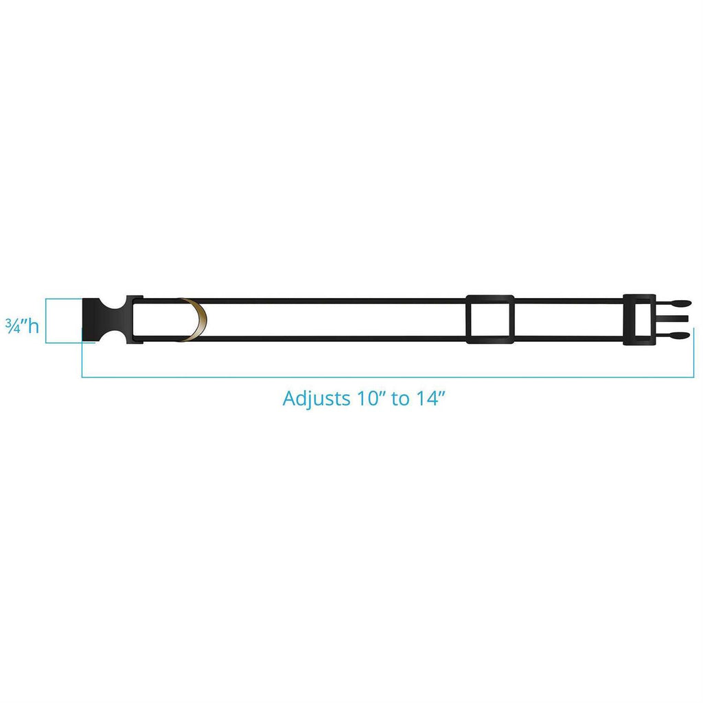 Dog Collar A182