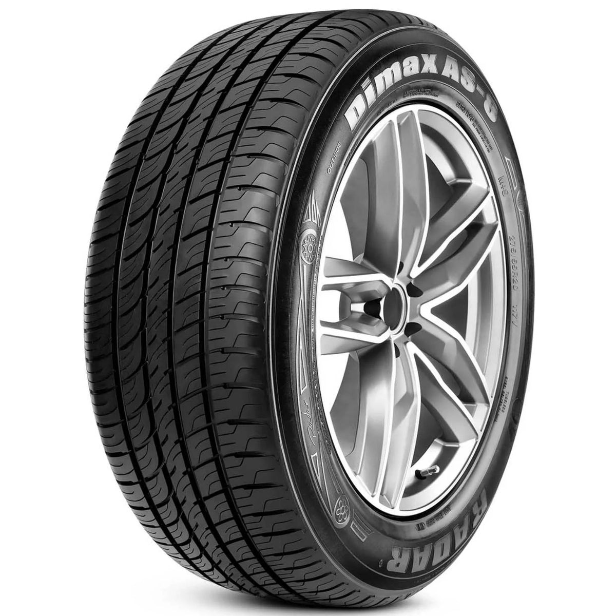 255/50R19 107W All Season Tire P95186