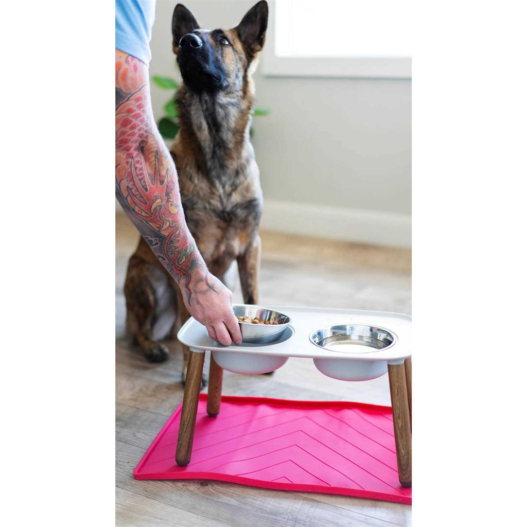 Dog Double Feeder Elevated D384757