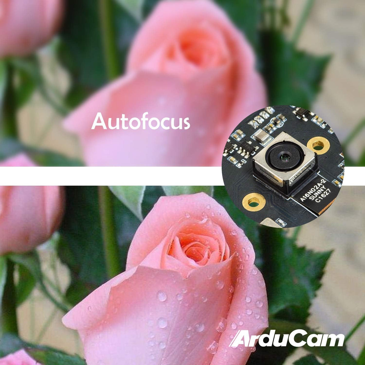 16MP Autofocus USB Camera with Microphone, 4K Video Webcam, 1m Cable F2447