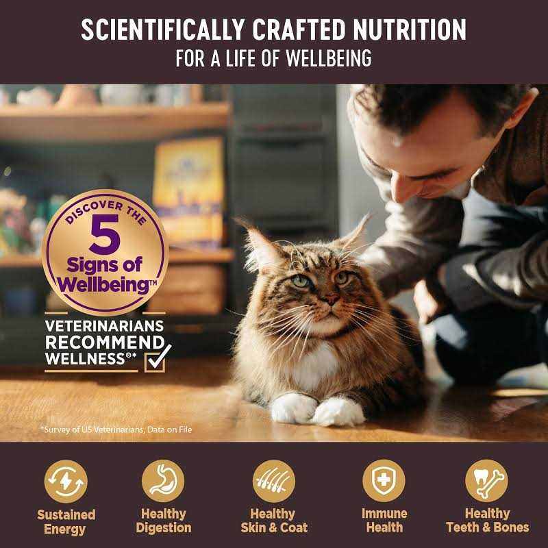 Grain Free Canned Cat Food F1998