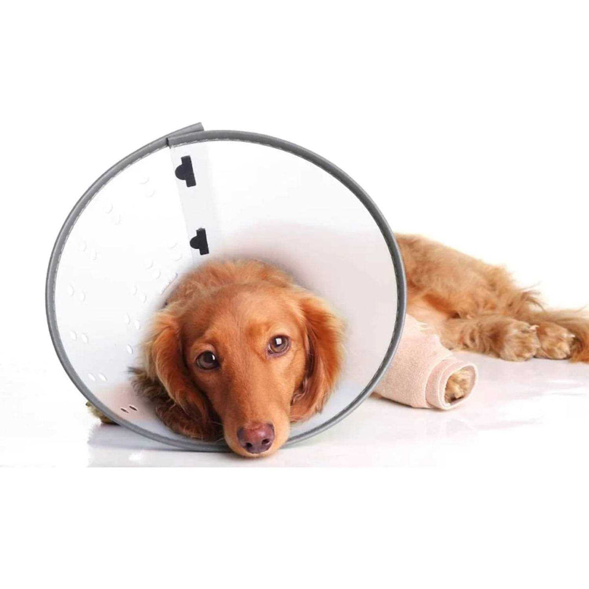 E-Collar XL N35634