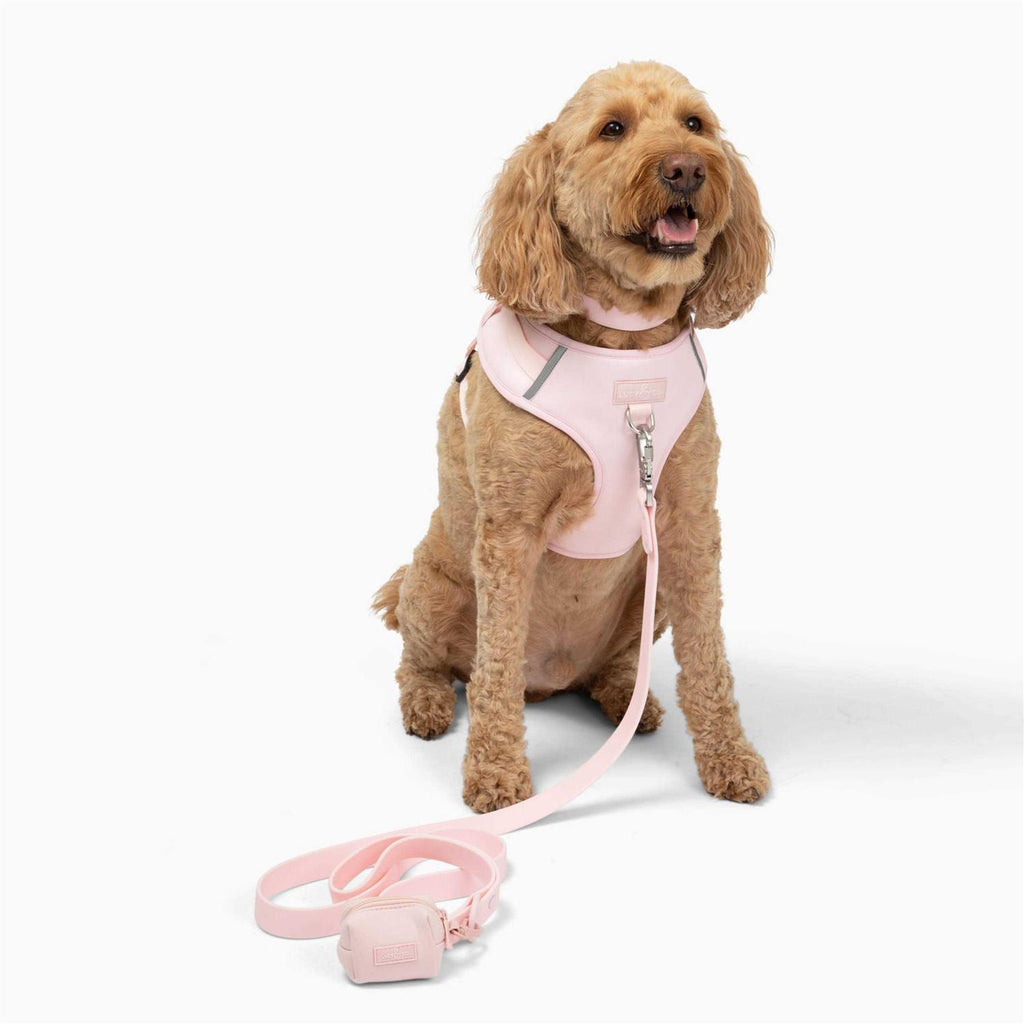 Neoprene Dog Harness V550