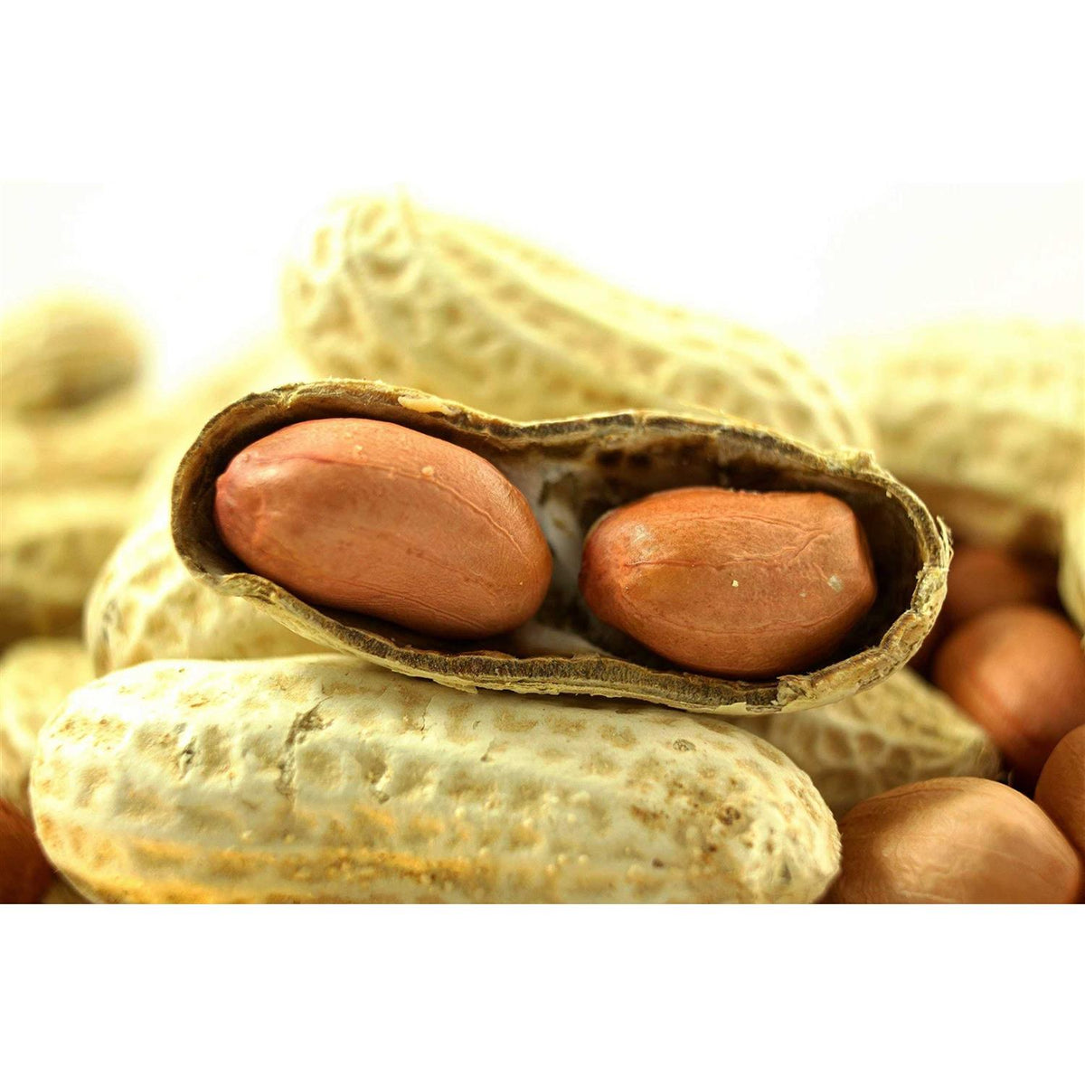 Extra Large Virginia Peanuts H971061