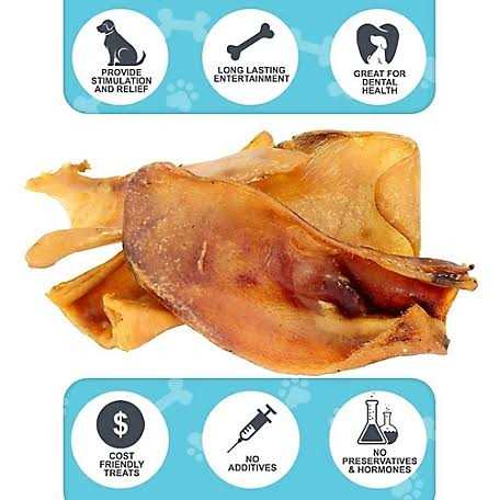 Large Whole Pig Ears Dog Chew Treats J2160