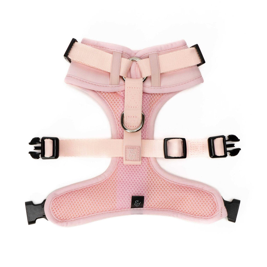 Neoprene Dog Harness V550