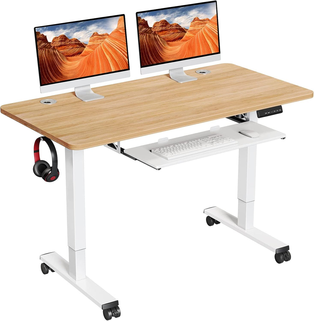 Electric Standing Desk Adjustable Height 48x24 in with Memory Controller N12115