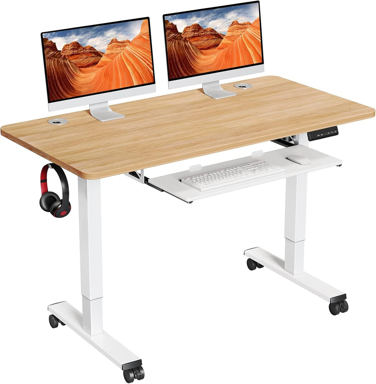 Electric Standing Desk Adjustable Height 48x24 in with Memory Controller N12115