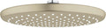 Brushed Nickel Square Rain Showerhead Z812156