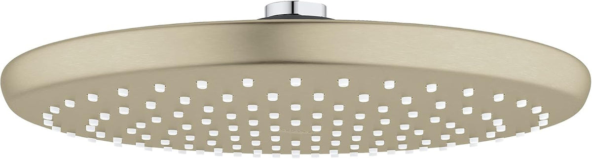 Brushed Nickel Square Rain Showerhead Z812156