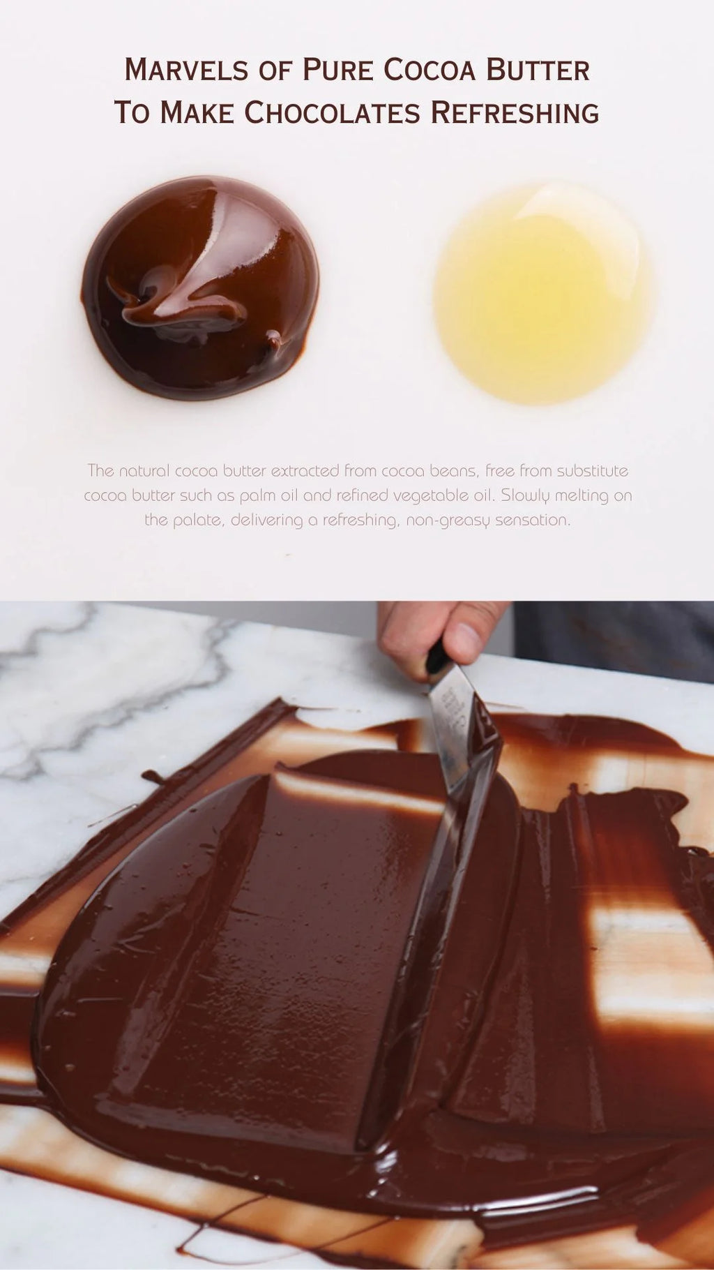 Maltitol Sweetened Hazelnut Chocolate Bars, 6 Ct L417258