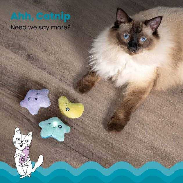 Catnip Cat Toy N481