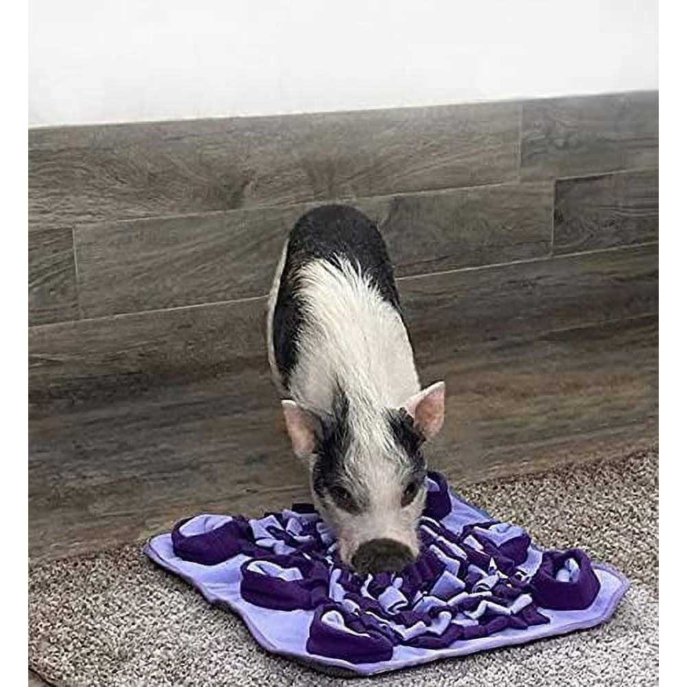 Snuffle Mat I537150