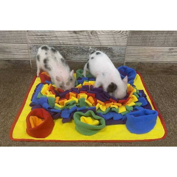 Snuffle Mat I537150