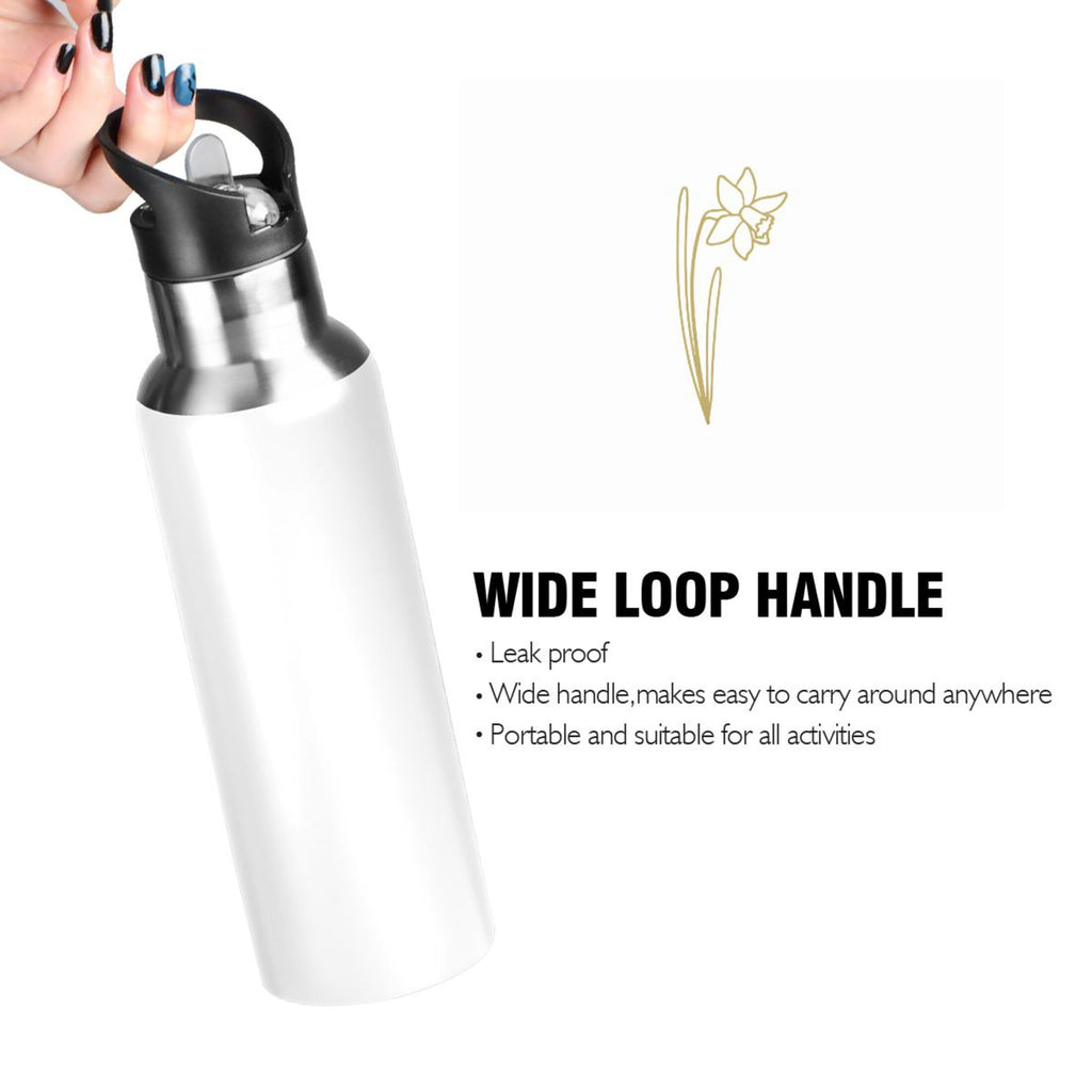 Stainless Steel Insulated Water Bottle with Straw Lid J930