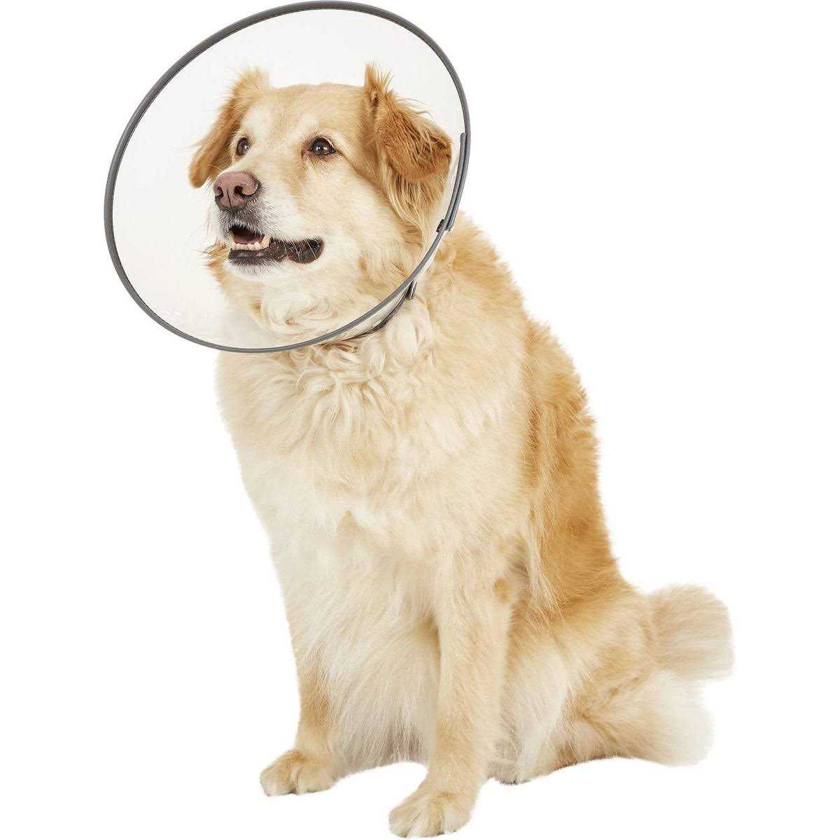 E-Collar XL N35634