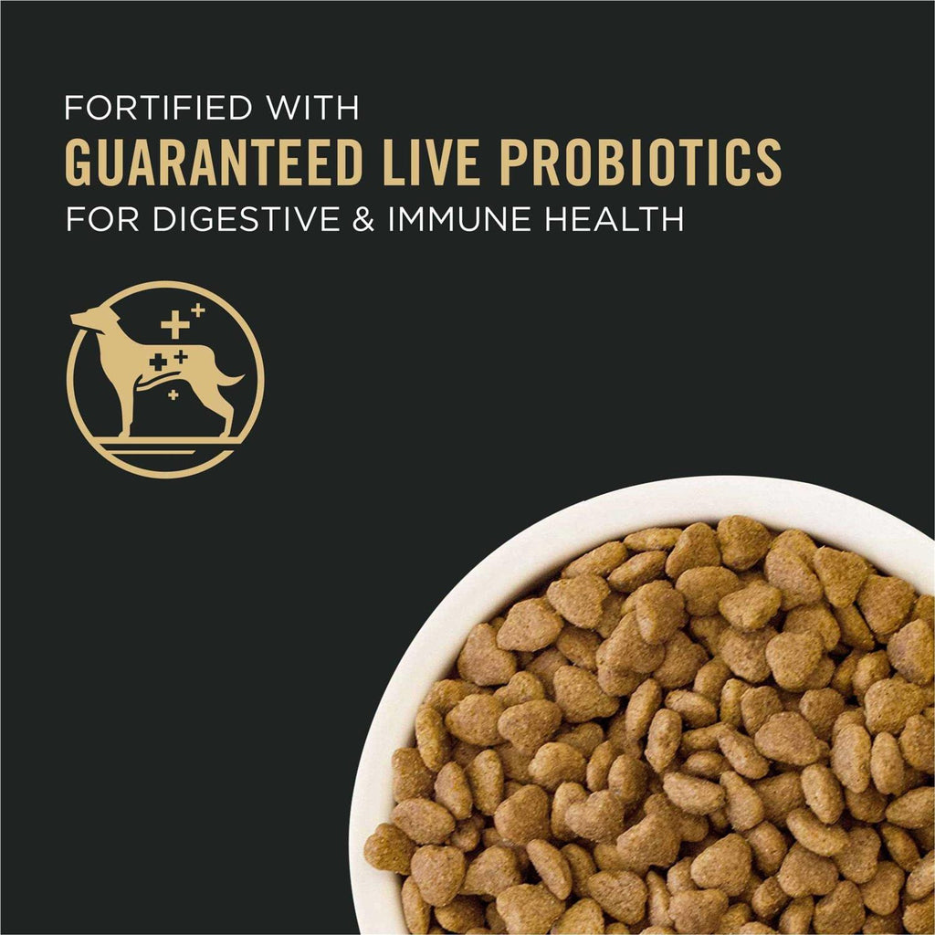 Lamb & Rice Dog Food E588646