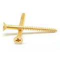Brass Wood Screw Phillips Flat Head Pk 100 L227861