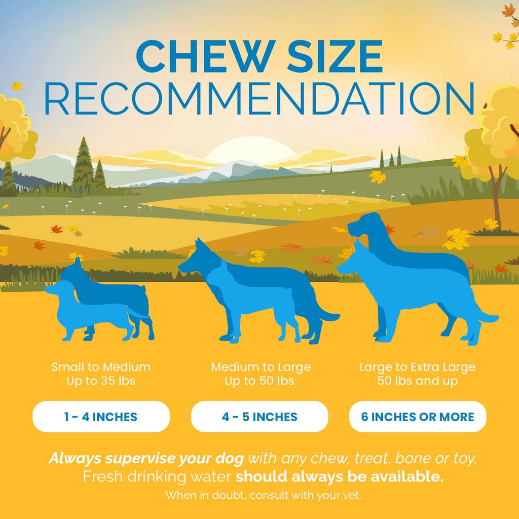 Beef Bone Chews for Dogs 3-4 inches 6 Count V777444