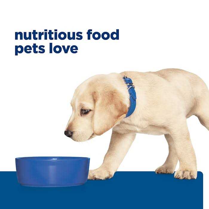 Dry Dog Food U95306