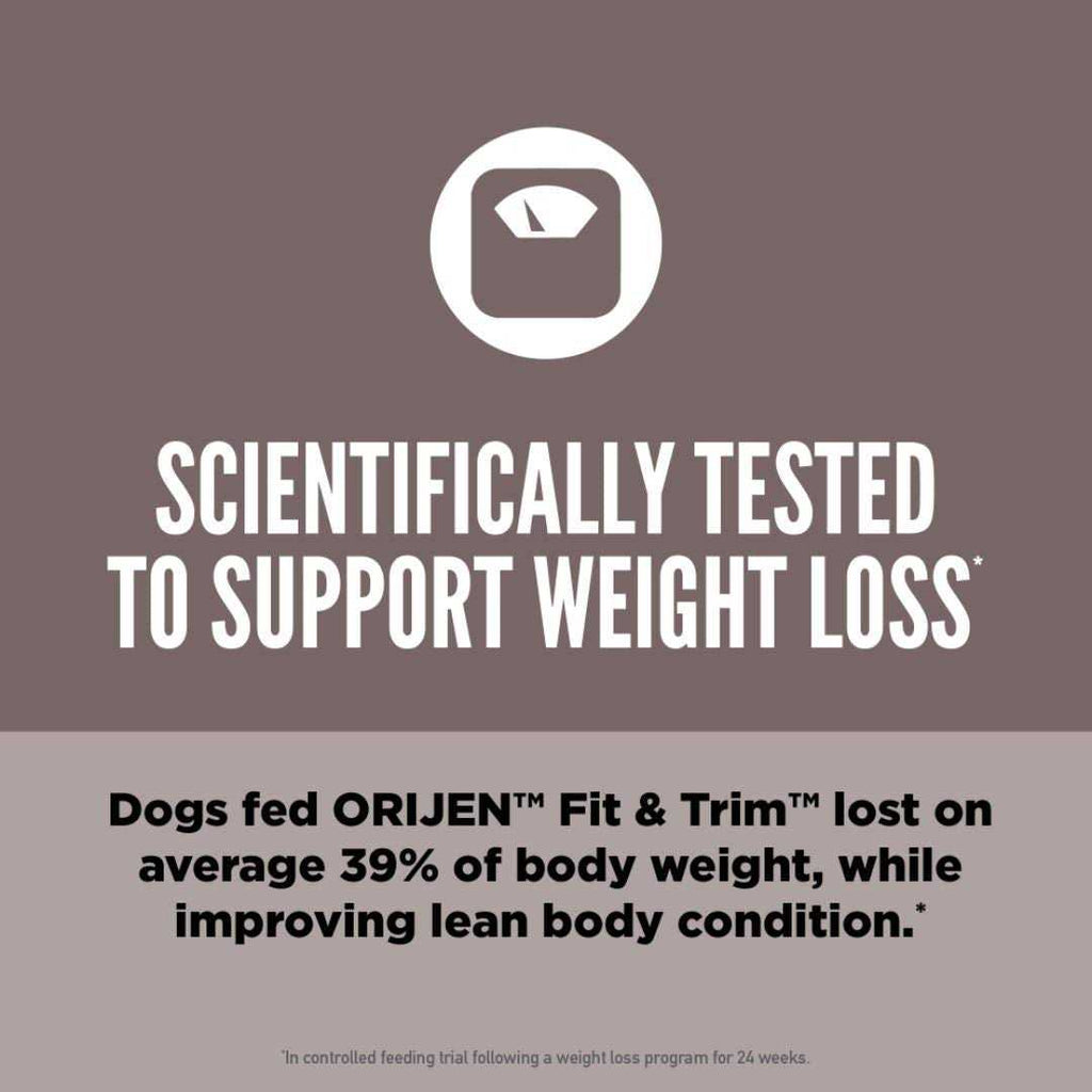 Dry Dog Food O29165