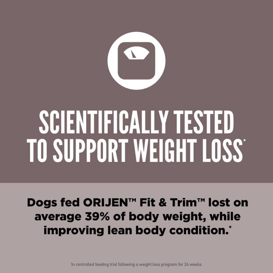 Dry Dog Food O29165